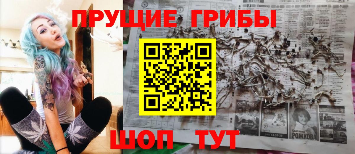 Псилоцибиновые грибы прущие грибы  Галлюциногенные грибы Magic Shrooms  Сердобск  цена   Вход с VPN 
