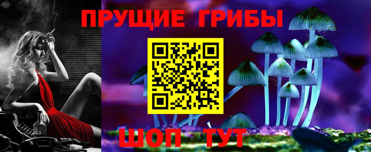 Псилоцибиновые грибы Psilocybine cubensis Сердобск
